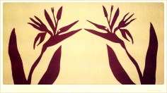 DSC_0489_Nolariod_Anne