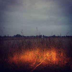 Nightscape 2 -Stephenson St 2016