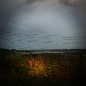 Nightscape 1 -Stephenson St 2016