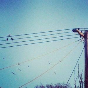 View from a Room 1 2015